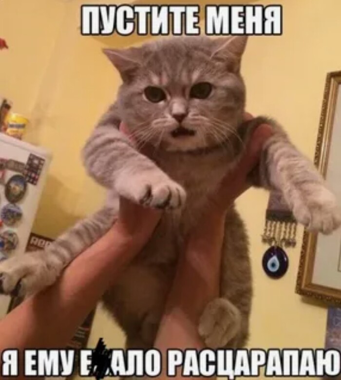    Reddit, Reddit (), ,    