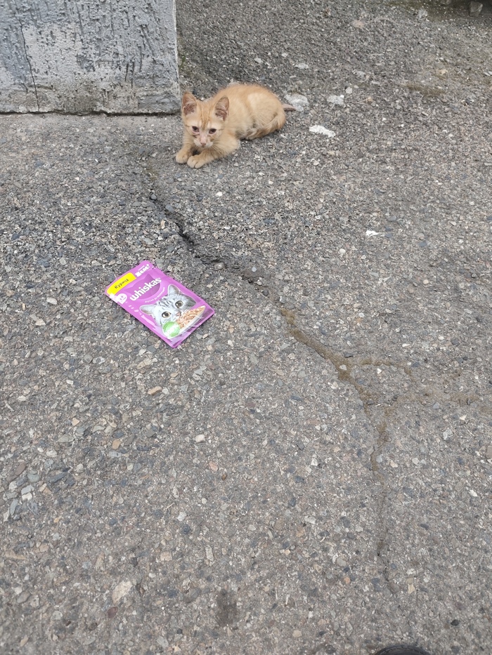      ,  , ,  ,   , , , , 