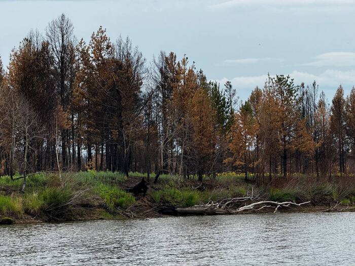 ��������� ��� ������ ����� ����� ������� ����� ������� ����� � ������