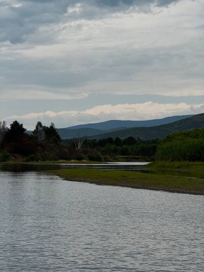 ������ ���� �����