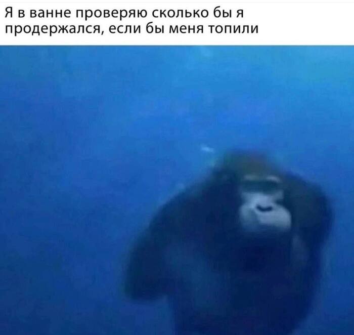 ���� ����� ����