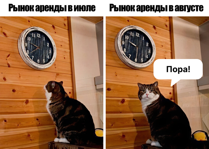           , , ,  , , ,  ,  , ,  