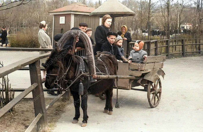 Жизнь Советского Ленинграда в 60-е годы. 20 раскрашенных фотографий История города, 20 век, 60-е, СССР, Ленинград, Санкт-Петербург, Старое фото, Фотография, Колоризация, Длиннопост