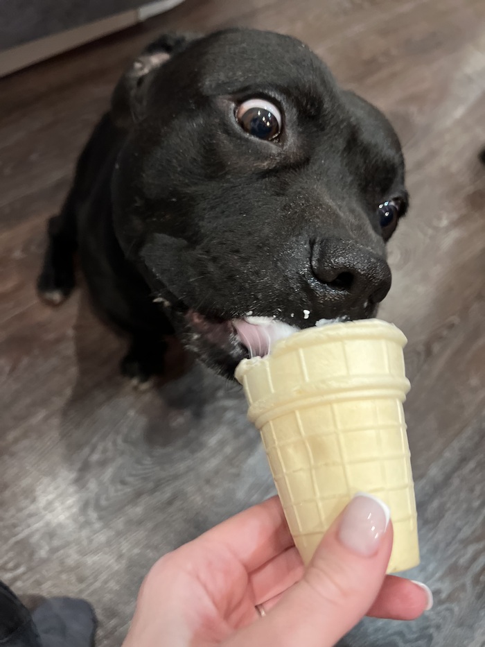     =) , , , , , , 
