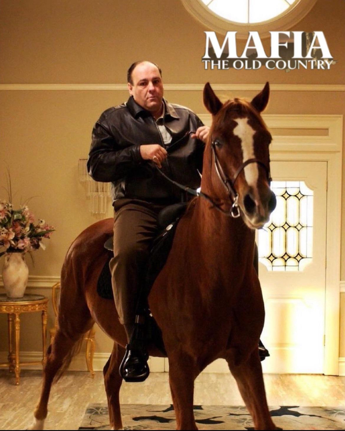    Mafia: The Old Country    