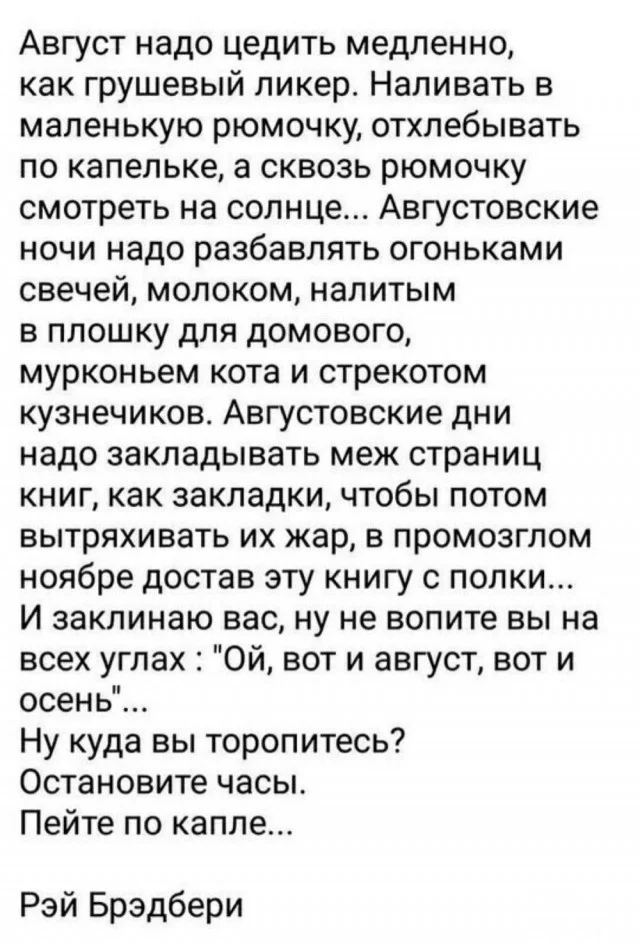 we3bcat7.webp