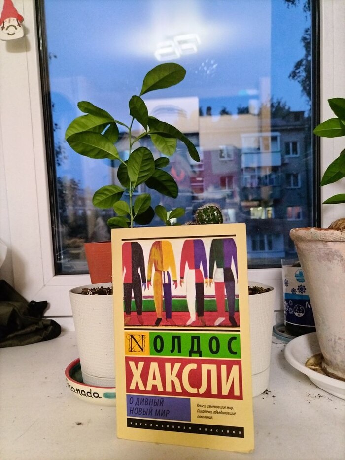 ,       , , ,  ?,  