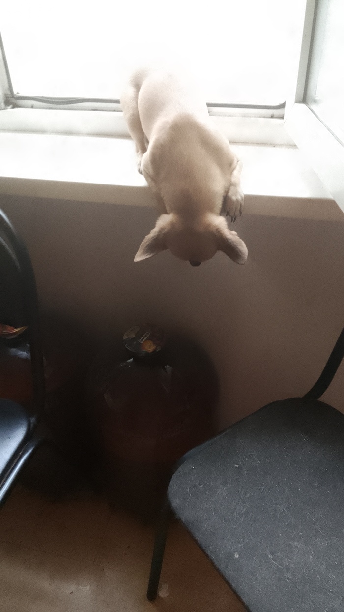       ! , , , 