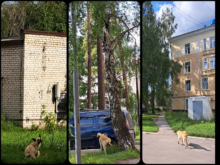 ������� �������!