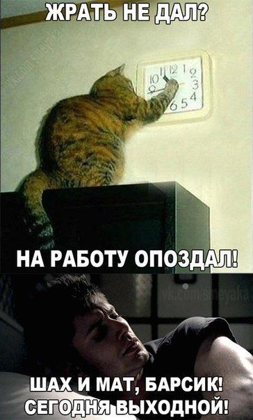     , , , , , 