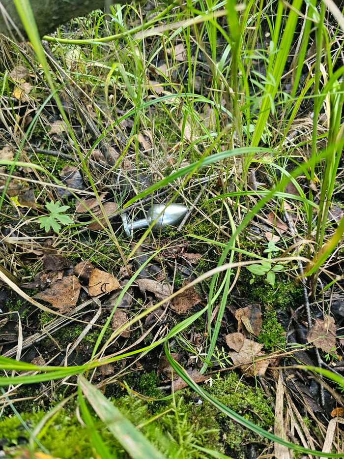 �������� ����� � ���� ���� �����