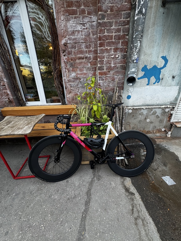  .   , , Fixed Gear, 