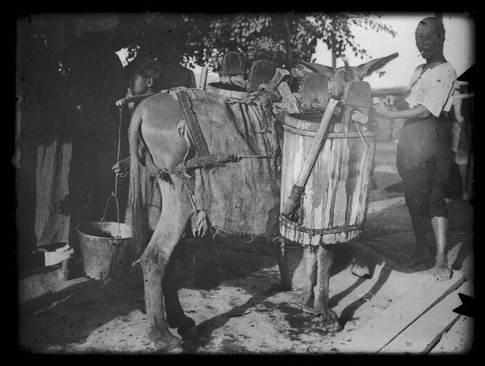 Водонос с осликом. Фотограф Пожарищенский Дмитрий Николаевич. 1926-1935гг.