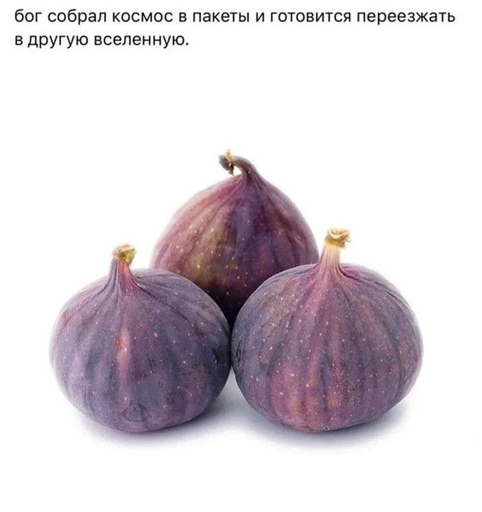  , , , ,   , , 