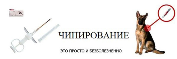   2     ? , , , , , , , , , , , , , ,   ,  , ,  ,    , , 