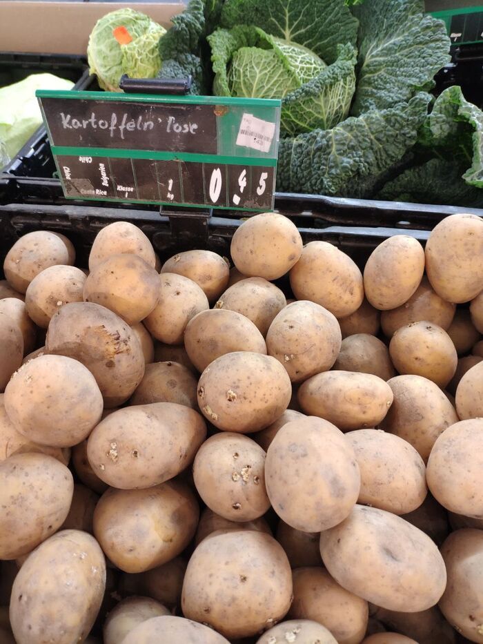 ������� �� 43 ����� ��