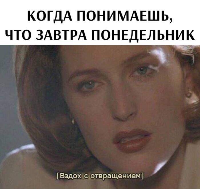     ,   , ,  , , Telegram ()