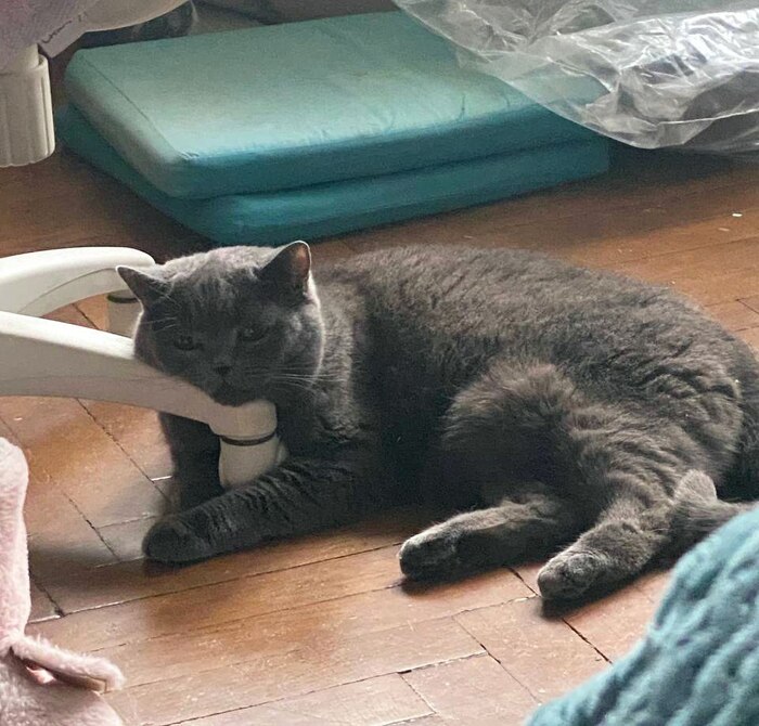 Это я в задумчивости о бренности этого мира