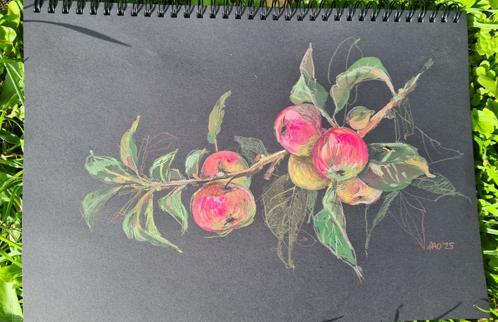 Проба пера. Акрил + цветные карандаши