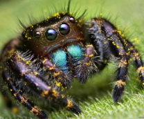 �������������