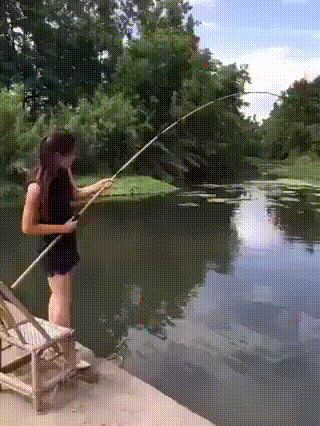Funny GIFs