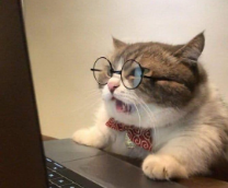 ��� �������(���������)