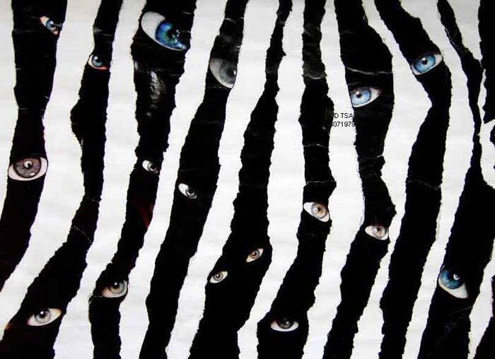 зарождение мира /диди пиквик