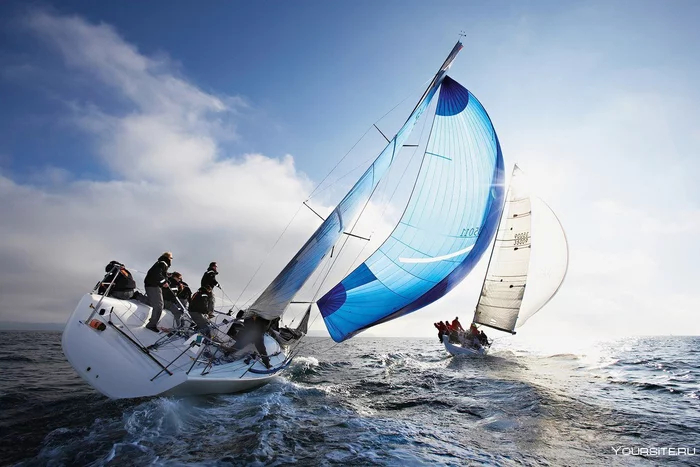 , ,  -         (  ).      .   - 