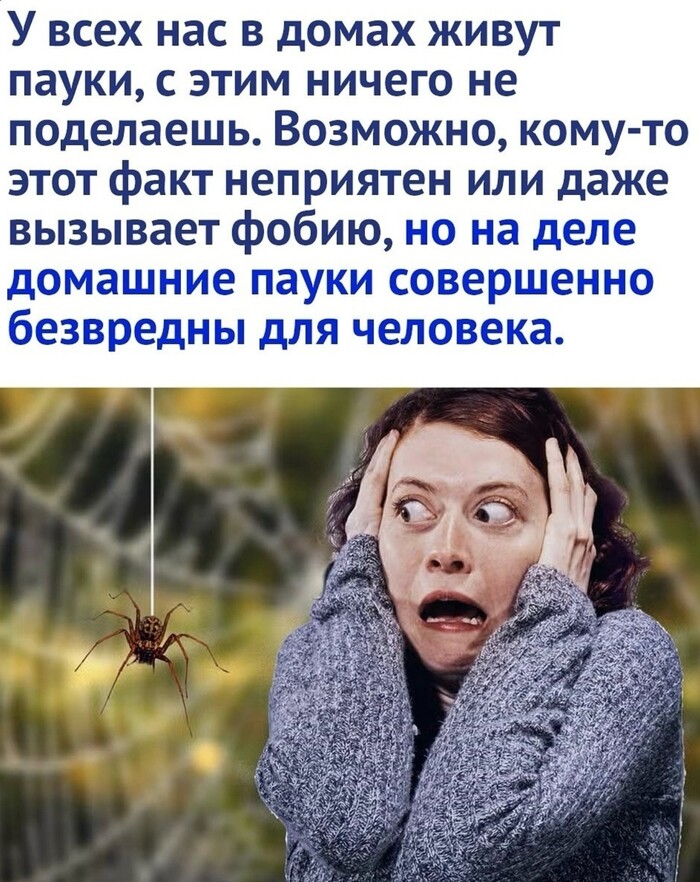   , , , ,   ,  