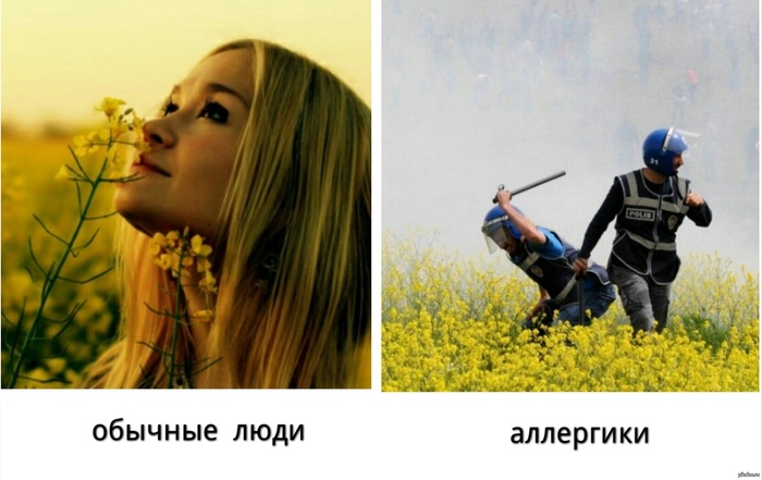  -   (-_-) , , , , , , 