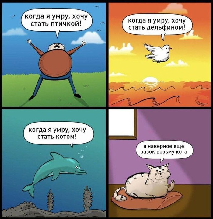    , , , The Oatmeal, , ,   