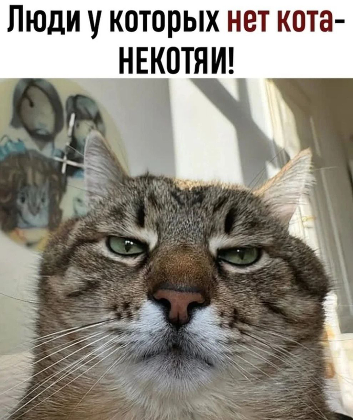    , , , Telegram (), ,  