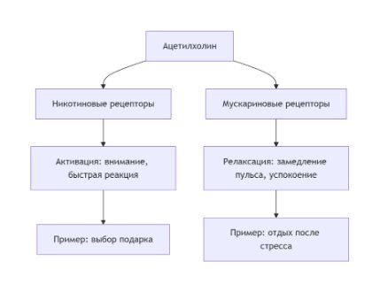  14: :     , , , ,  , 