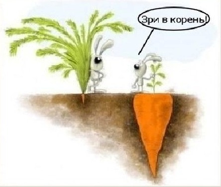 Зри прямо в Корень, если есть чем зреть!