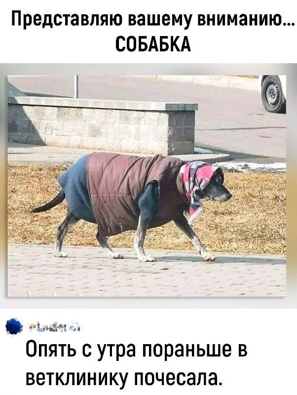 Собабка