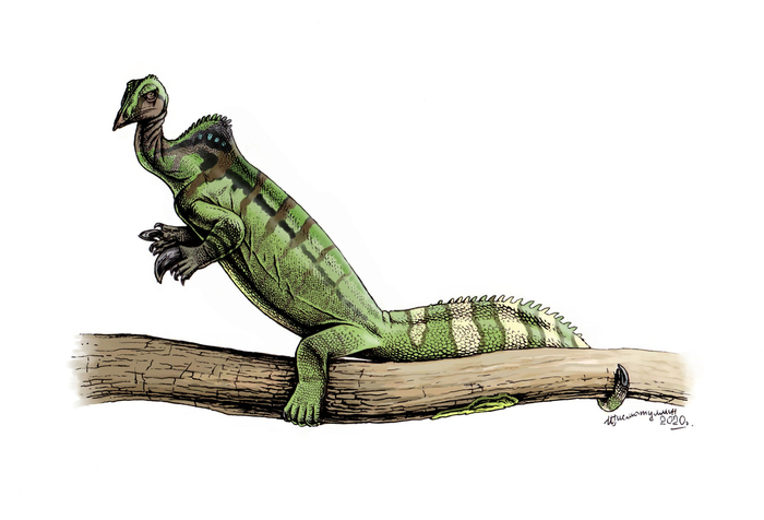 Drepanosaurus unguicaudatus.