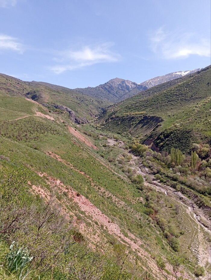 (���� ��� ��� ���-�� � ����� �������)