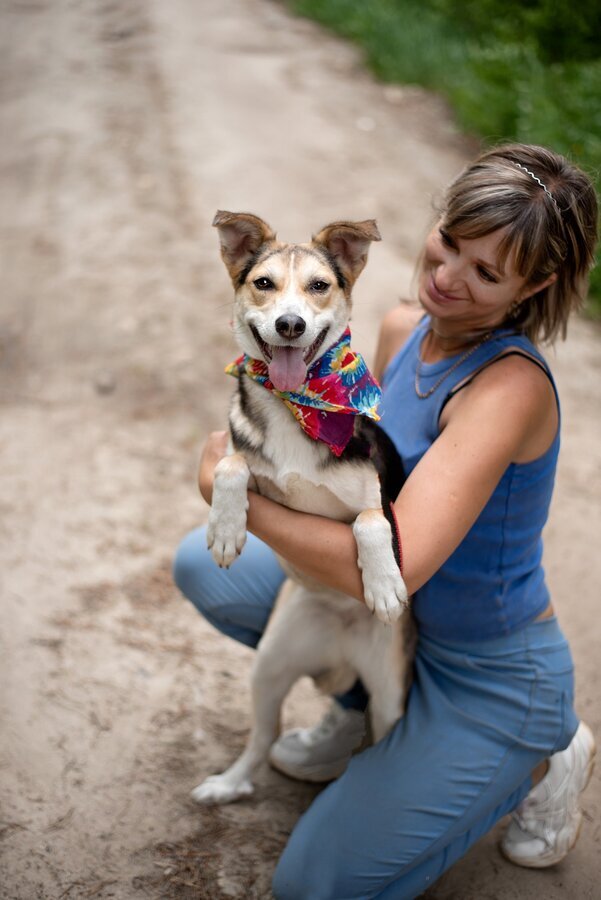 Москва и МО! Ума — трогательная малышка, ей всего 10 месяцев ищет дом. Мы очень ищем маму! Приют, В добрые руки, Бездомные животные, Передержка, Потеряшка, Без рейтинга, Волонтерство, Собака, Длиннопост