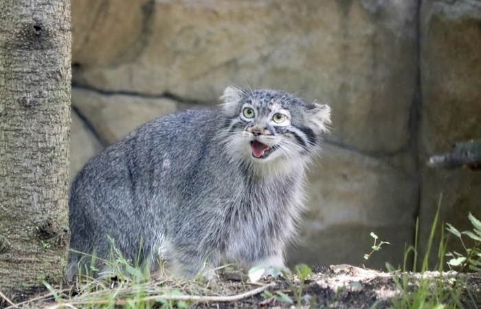 Неужели пятничка пришла?