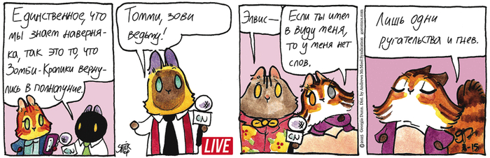 Котейкины Новости от 15.08.2025