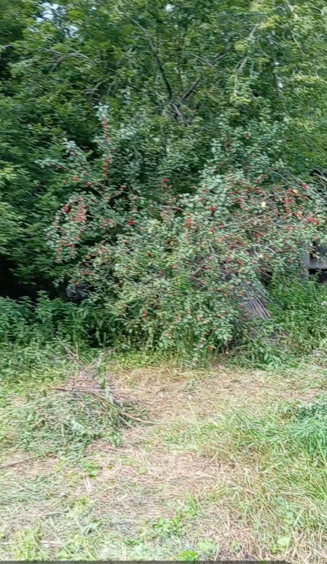 ��������!!!