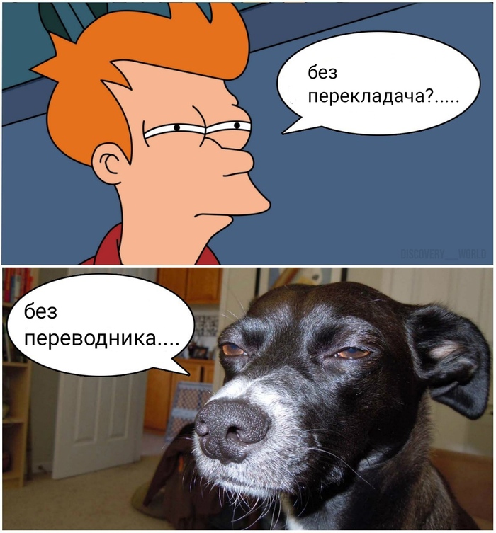  , , ,  ,  , , , , , 
