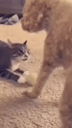     , , , 
