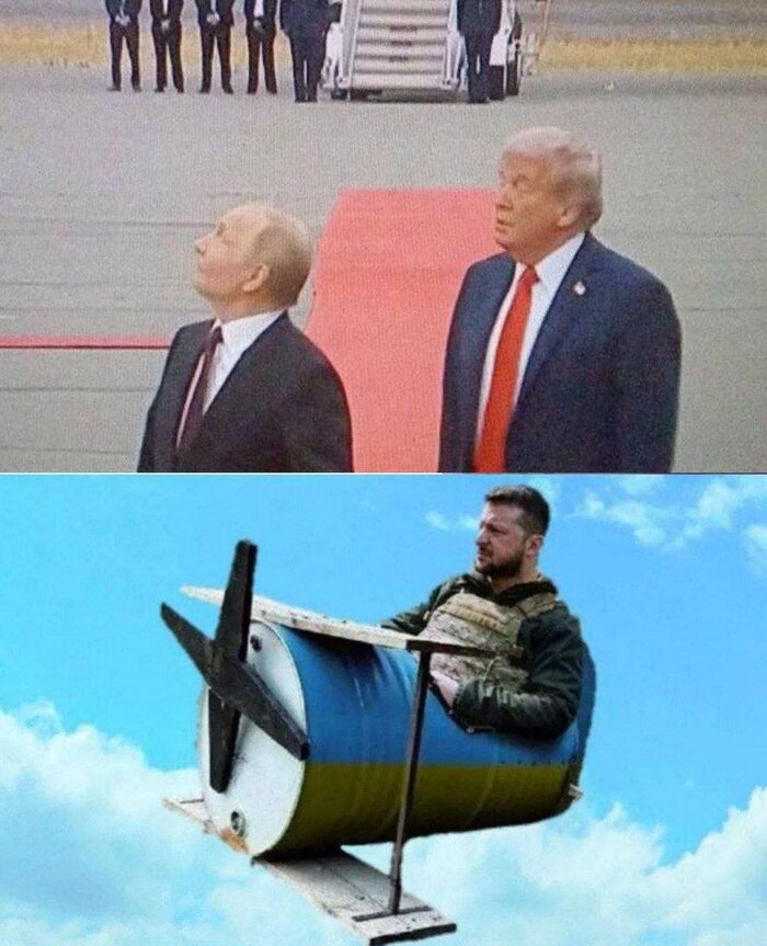    ,  ,  , , 