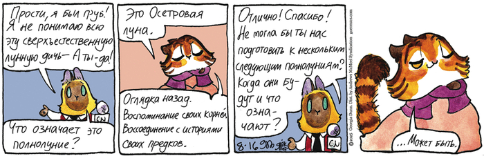    16.08.2025 , ,   (), 