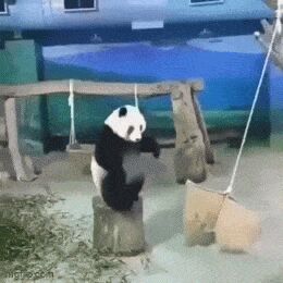     ,   , , , 