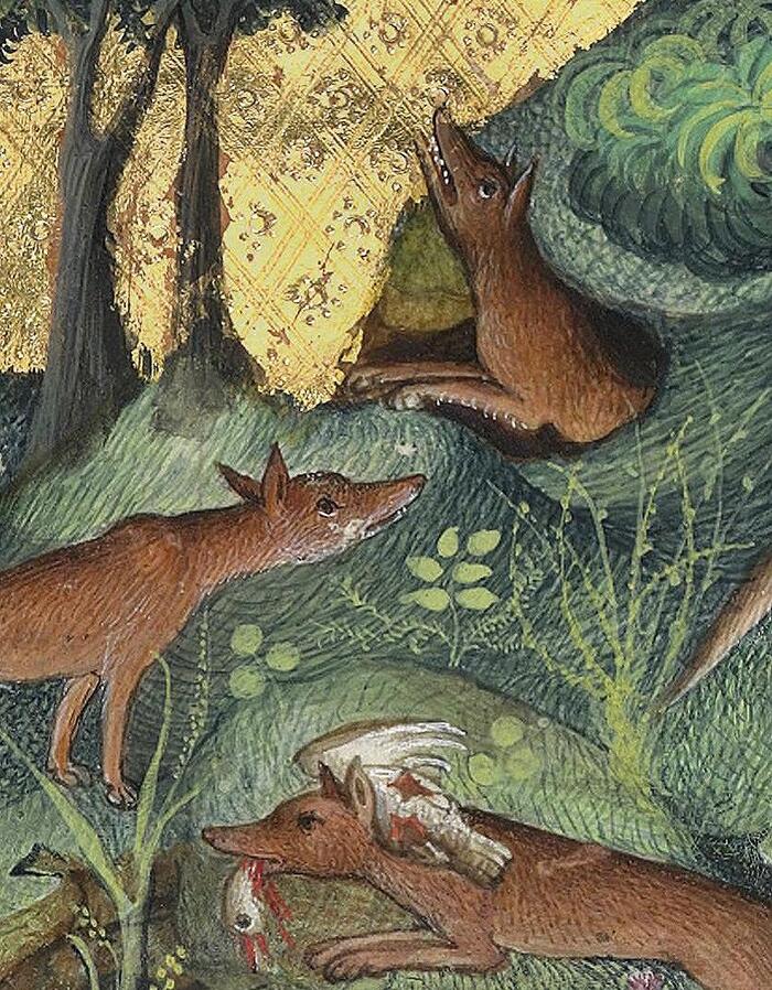 Гастон Феб, "Книга охоты", Париж, XV век. Национальная библиотека Франции.