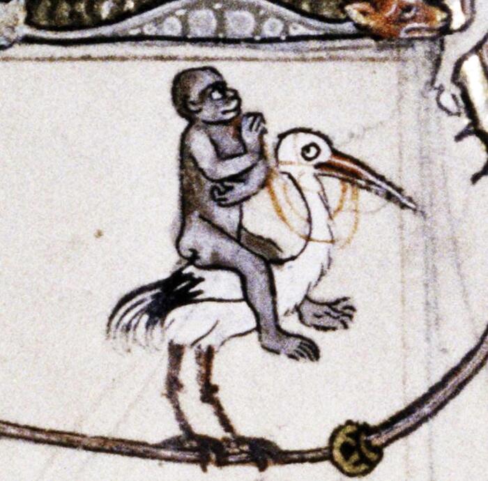 Всадник на аисте. Псалтырь, Англия, XIII век. Бодлианская библиотека.