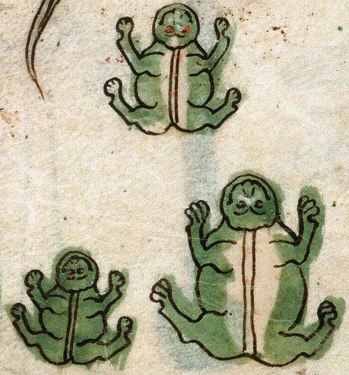 Нашествие лягушек. "Памплонская Библия", Наварра, 1197 г. Амьен, Франция, Городская библиотека.