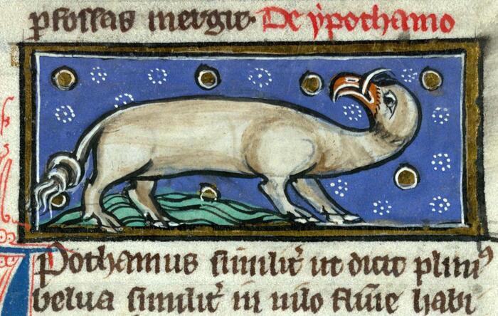Средневековый бегемот. Томас Кантимпре, "Liber de natura rerum", Франция, ок. 1290. Валансьен, Муниципальная библиотека.